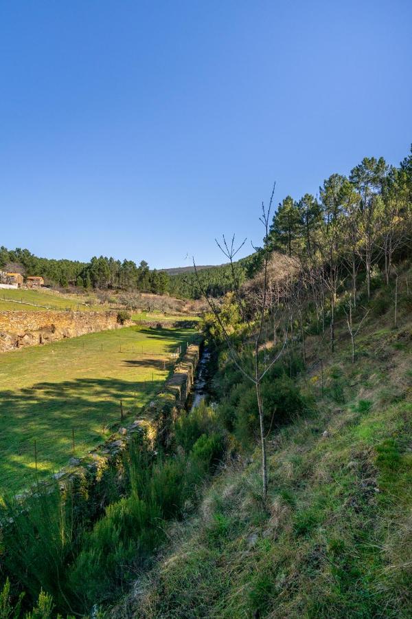 Aradas, Pampilhosa Da Serra, Casa Da Oliveira, Wifi, Ar Condicionado, Churrasqueira, Parqueamento, By Ig Unhais-o-Velho Exteriör bild